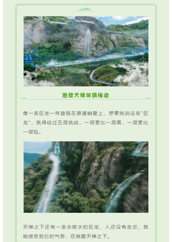 午夜熟女插插XX免费视频