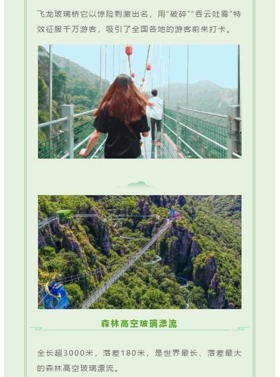 午夜熟女插插XX免费视频