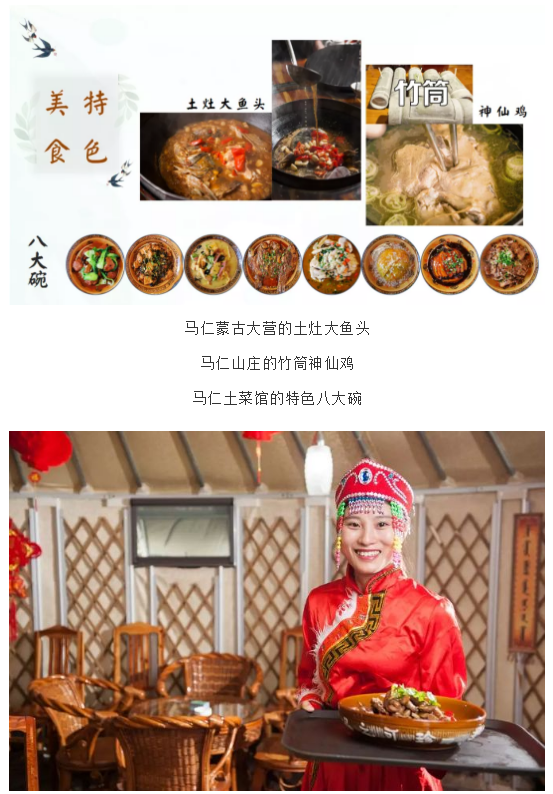 午夜熟女插插XX免费视频