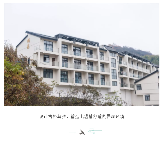 午夜熟女插插XX免费视频