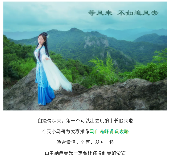 午夜熟女插插XX免费视频