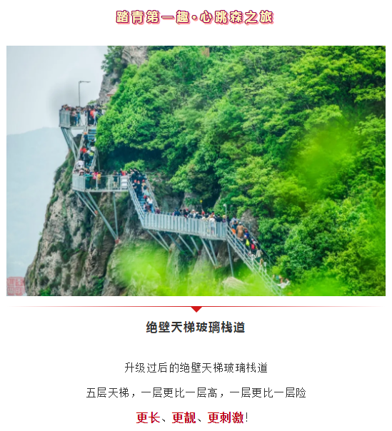 午夜熟女插插XX免费视频