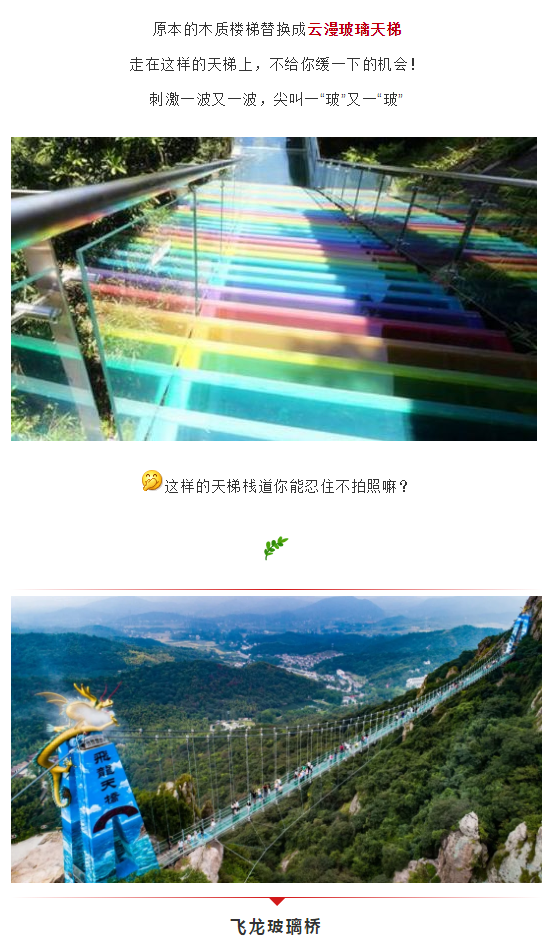 午夜熟女插插XX免费视频