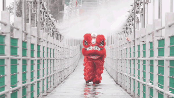 午夜熟女插插XX免费视频