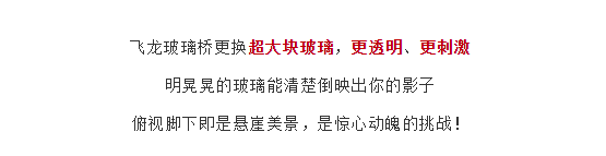 午夜熟女插插XX免费视频