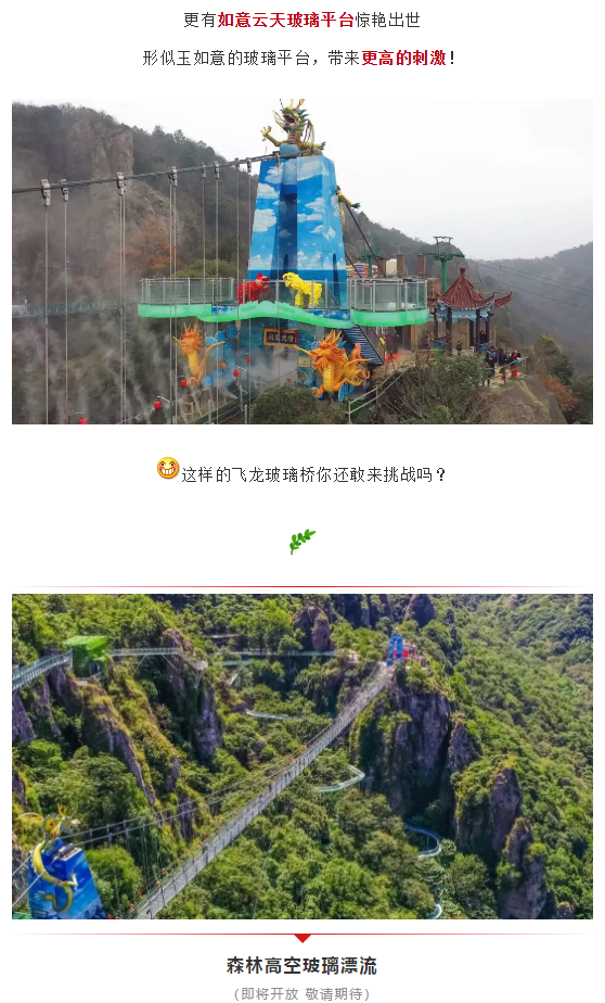 午夜熟女插插XX免费视频