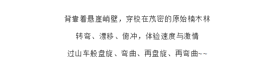 午夜熟女插插XX免费视频