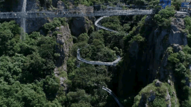 午夜熟女插插XX免费视频