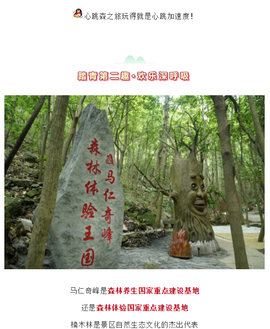 午夜熟女插插XX免费视频