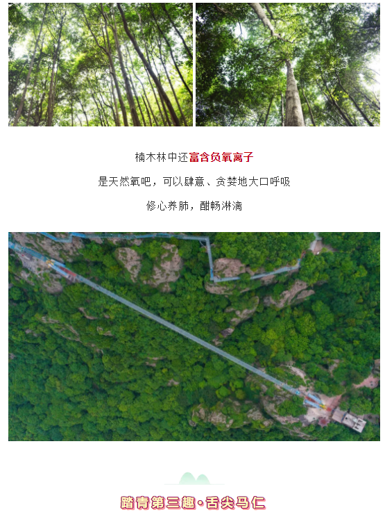 午夜熟女插插XX免费视频