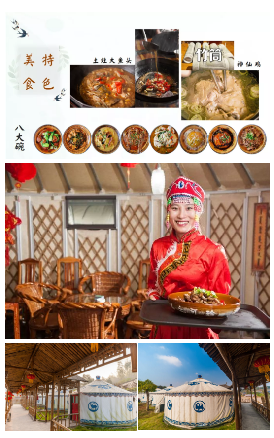 午夜熟女插插XX免费视频