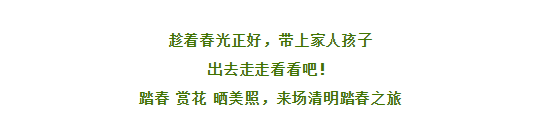 午夜熟女插插XX免费视频