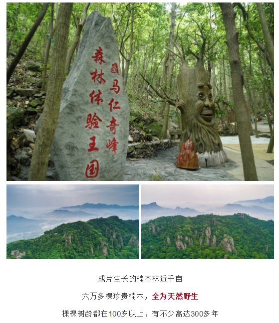 午夜熟女插插XX免费视频