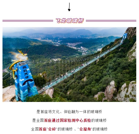 午夜熟女插插XX免费视频