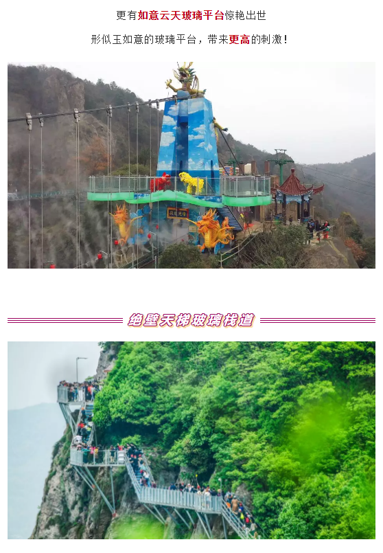 午夜熟女插插XX免费视频