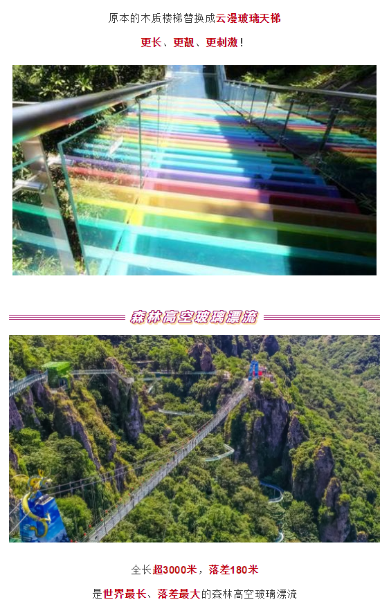 午夜熟女插插XX免费视频