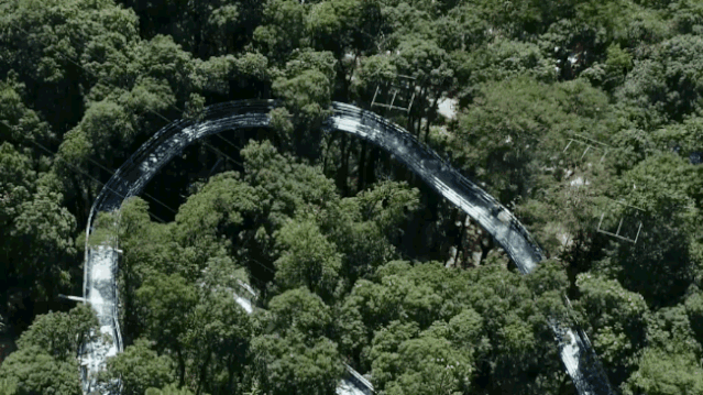 午夜熟女插插XX免费视频