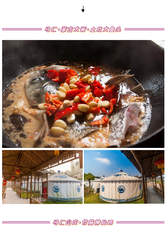 午夜熟女插插XX免费视频