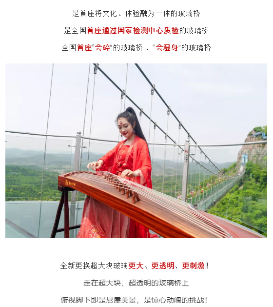 午夜熟女插插XX免费视频