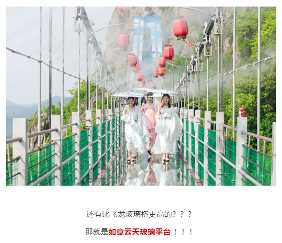 午夜熟女插插XX免费视频