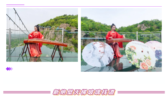 午夜熟女插插XX免费视频