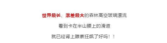 午夜熟女插插XX免费视频