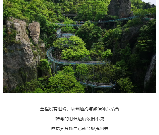 午夜熟女插插XX免费视频