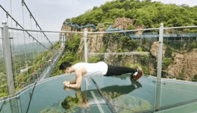 午夜熟女插插XX免费视频