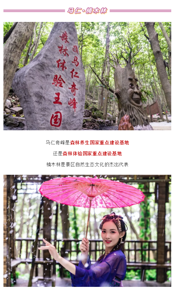 午夜熟女插插XX免费视频