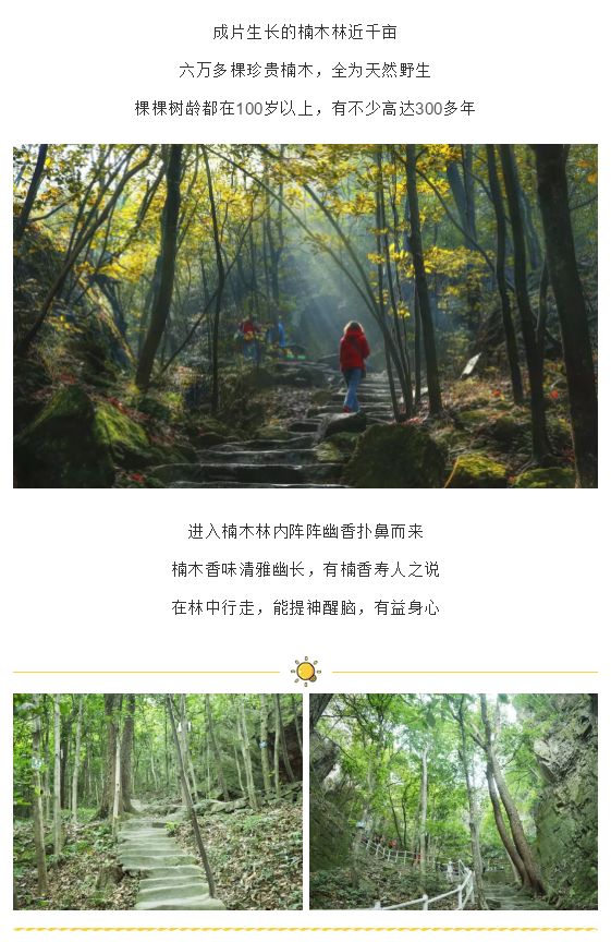 午夜熟女插插XX免费视频