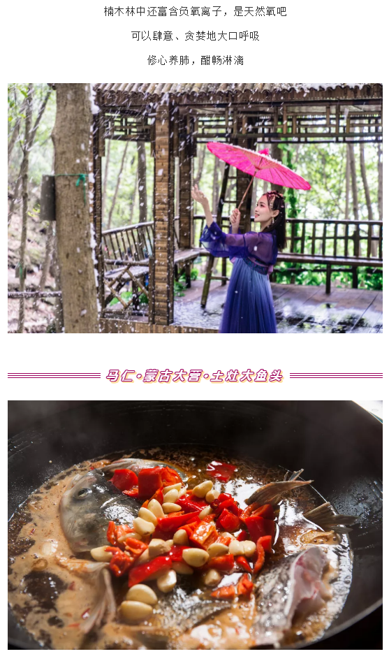 午夜熟女插插XX免费视频