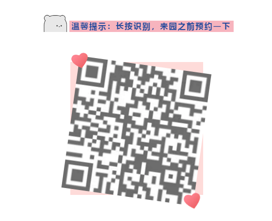 午夜熟女插插XX免费视频