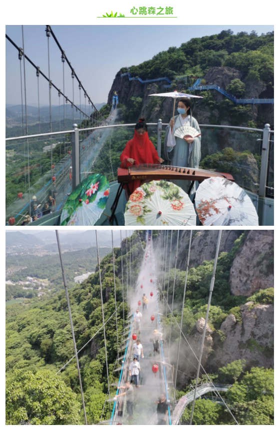 午夜熟女插插XX免费视频