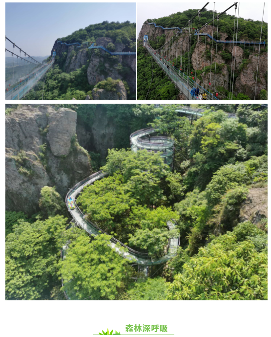 午夜熟女插插XX免费视频