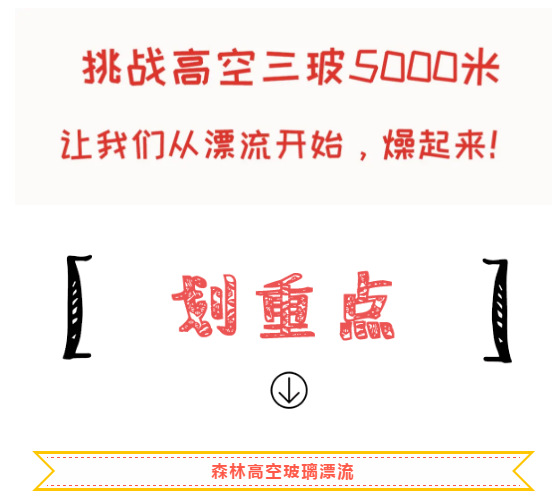 午夜熟女插插XX免费视频