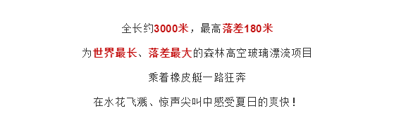 午夜熟女插插XX免费视频