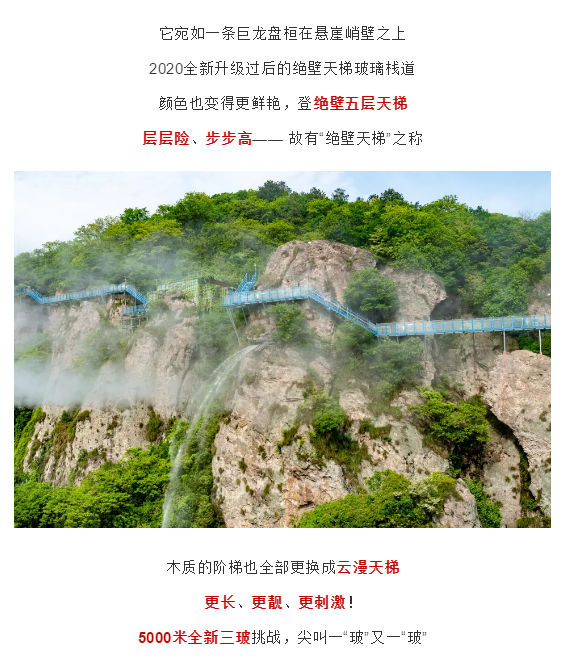 午夜熟女插插XX免费视频