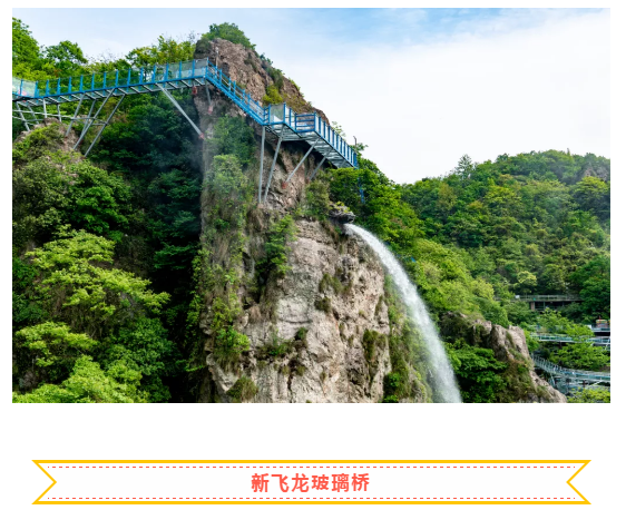 午夜熟女插插XX免费视频