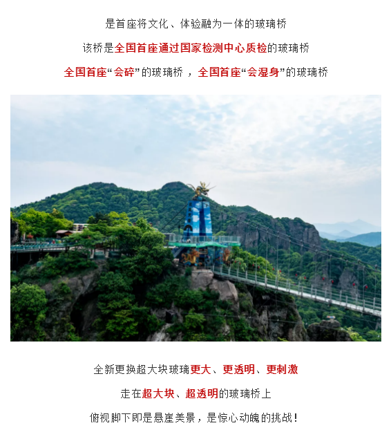 午夜熟女插插XX免费视频