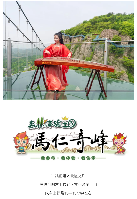 午夜熟女插插XX免费视频