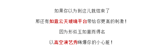 午夜熟女插插XX免费视频