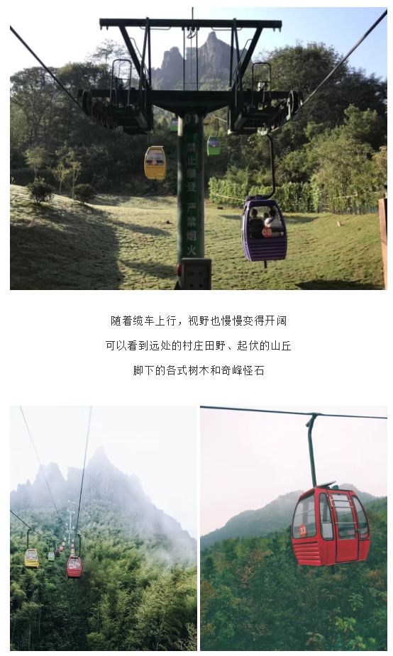 午夜熟女插插XX免费视频