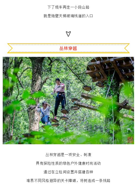 午夜熟女插插XX免费视频