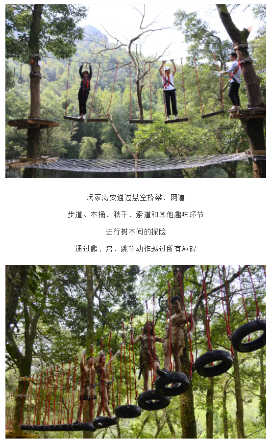 午夜熟女插插XX免费视频