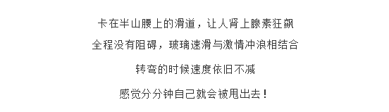 午夜熟女插插XX免费视频