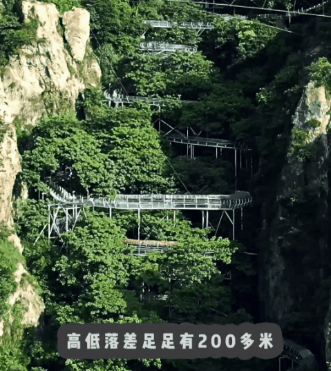 午夜熟女插插XX免费视频