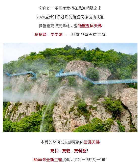 午夜熟女插插XX免费视频