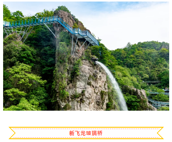 午夜熟女插插XX免费视频