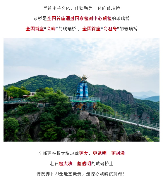 午夜熟女插插XX免费视频