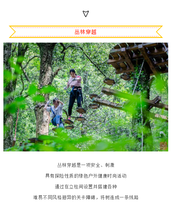 午夜熟女插插XX免费视频